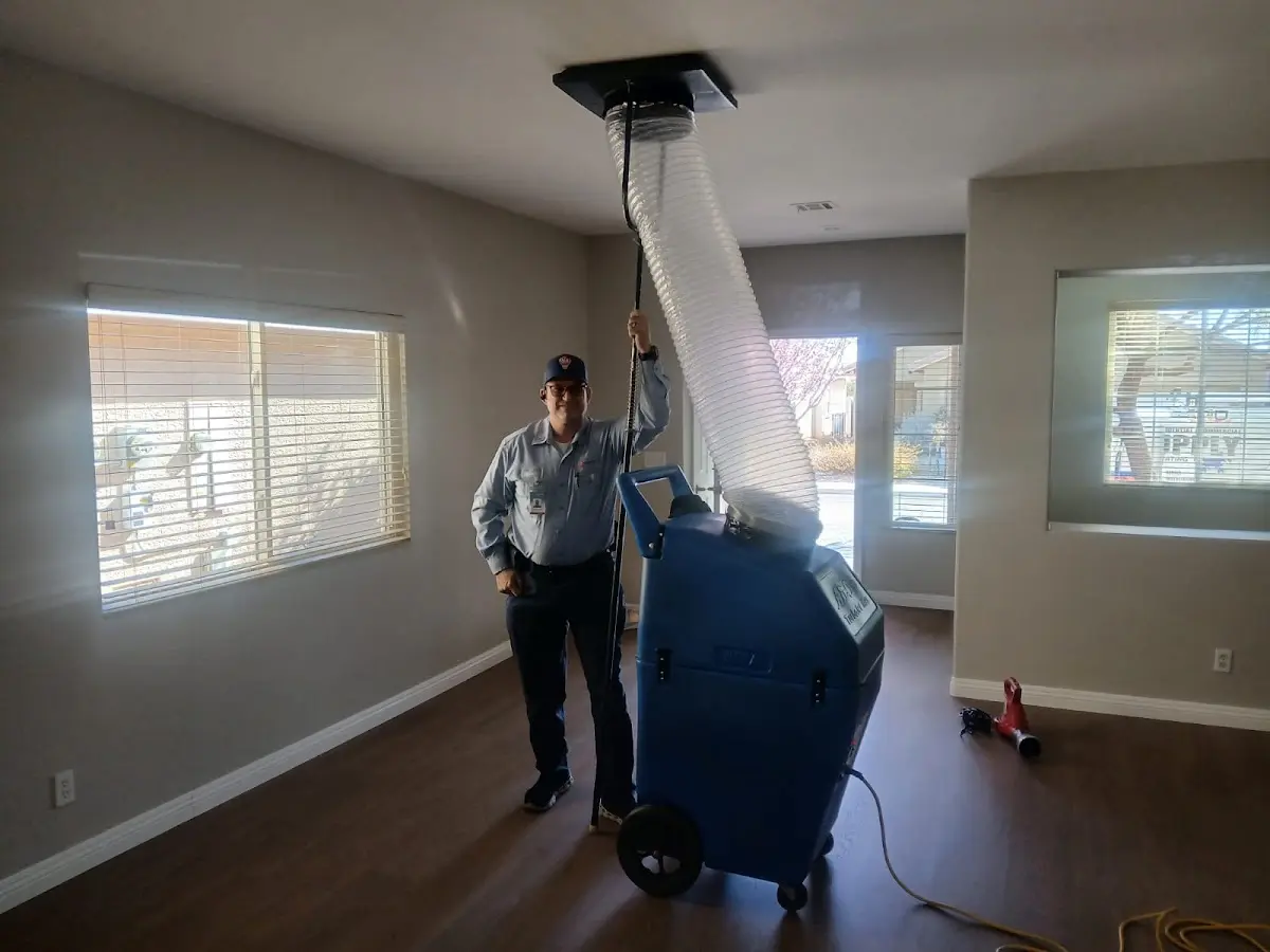 Professional Dryer Vent Cleaning work inside a Kingston home